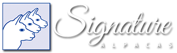 Signature Alpacas logo