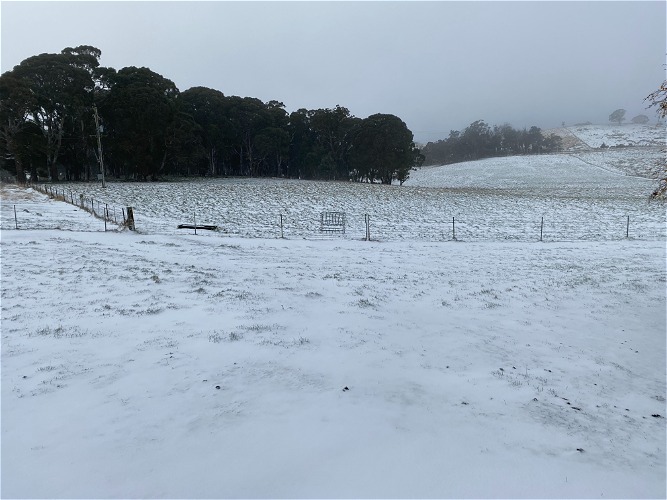 Winter at Signature Alpacas