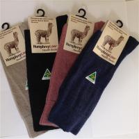 Socks, Fine only $30.00